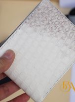 vi da ca sau hymalaya mau trang (6)