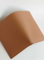 vi nam dang dung da de Alran Sully nhap khau (1)