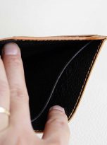 vi nam dang dung da de Alran Sully nhap khau