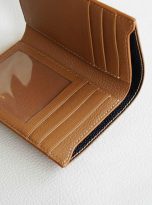 vi nam dang dung da de Alran Sully nhap khau (4)