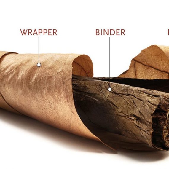 Xì gà (hay còn được gọi là cigar) là gì?