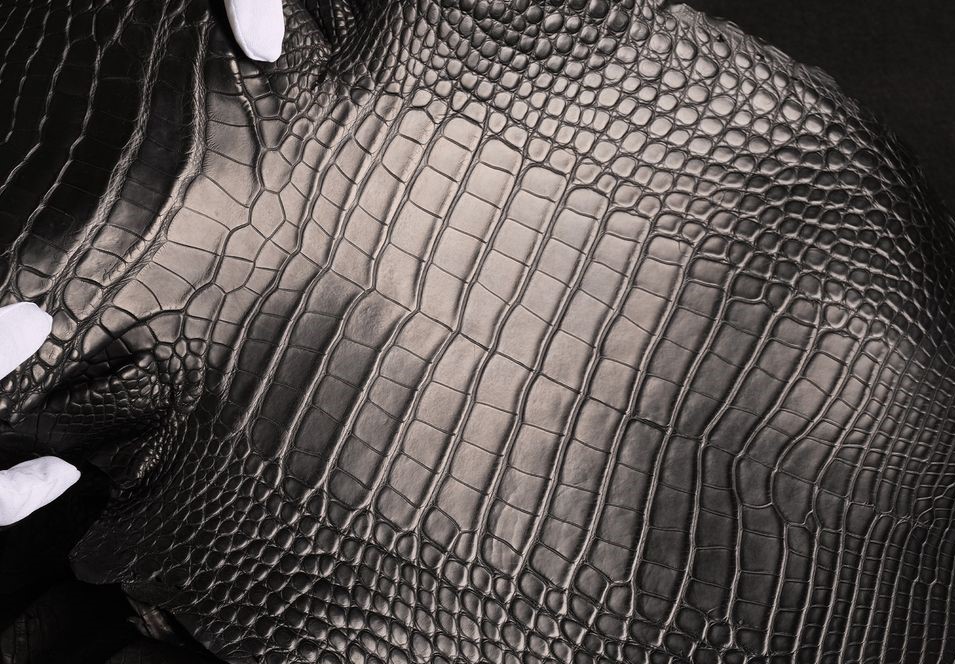 Da cá sấu Alligator màu đen